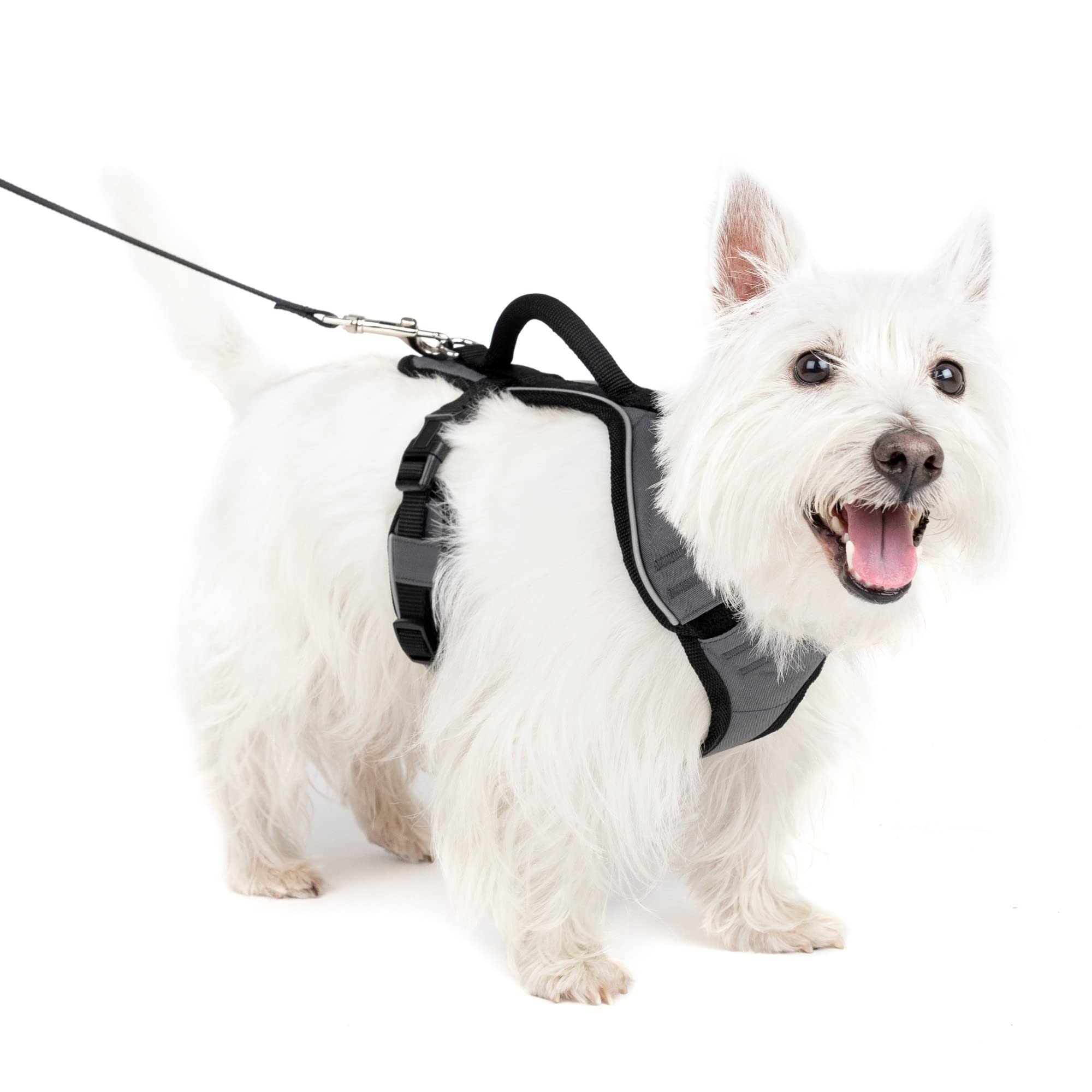 Arnés Para Perros Petsafe Easysport Acolchado, Ajustable, Pequeño - Venta Internacional.