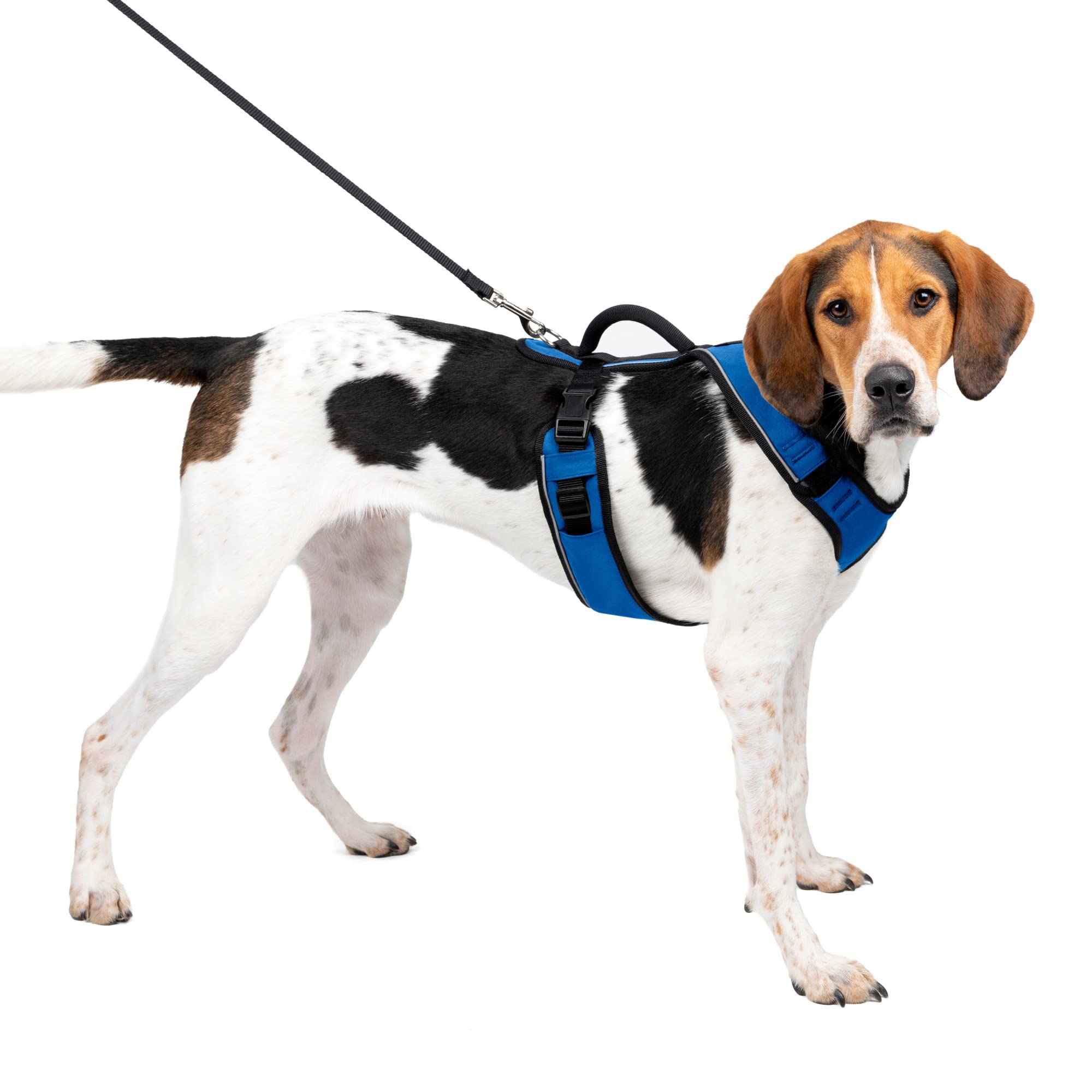 Arnés Para Perros Petsafe Easysport Azul Talla L Para Correr - Venta Internacional.