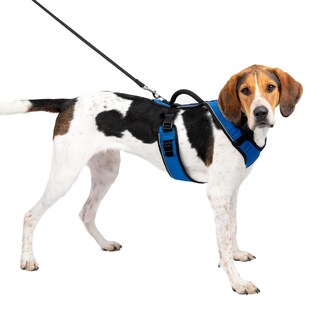Foto 1 | Arnés Para Perros Petsafe Easysport Azul Talla L Para Correr - Venta Internacional.