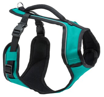 Foto 1 | Arnés Petsafe Easysport Con Correas Acolchadas Ajustables Para Perros - Venta Internacional.