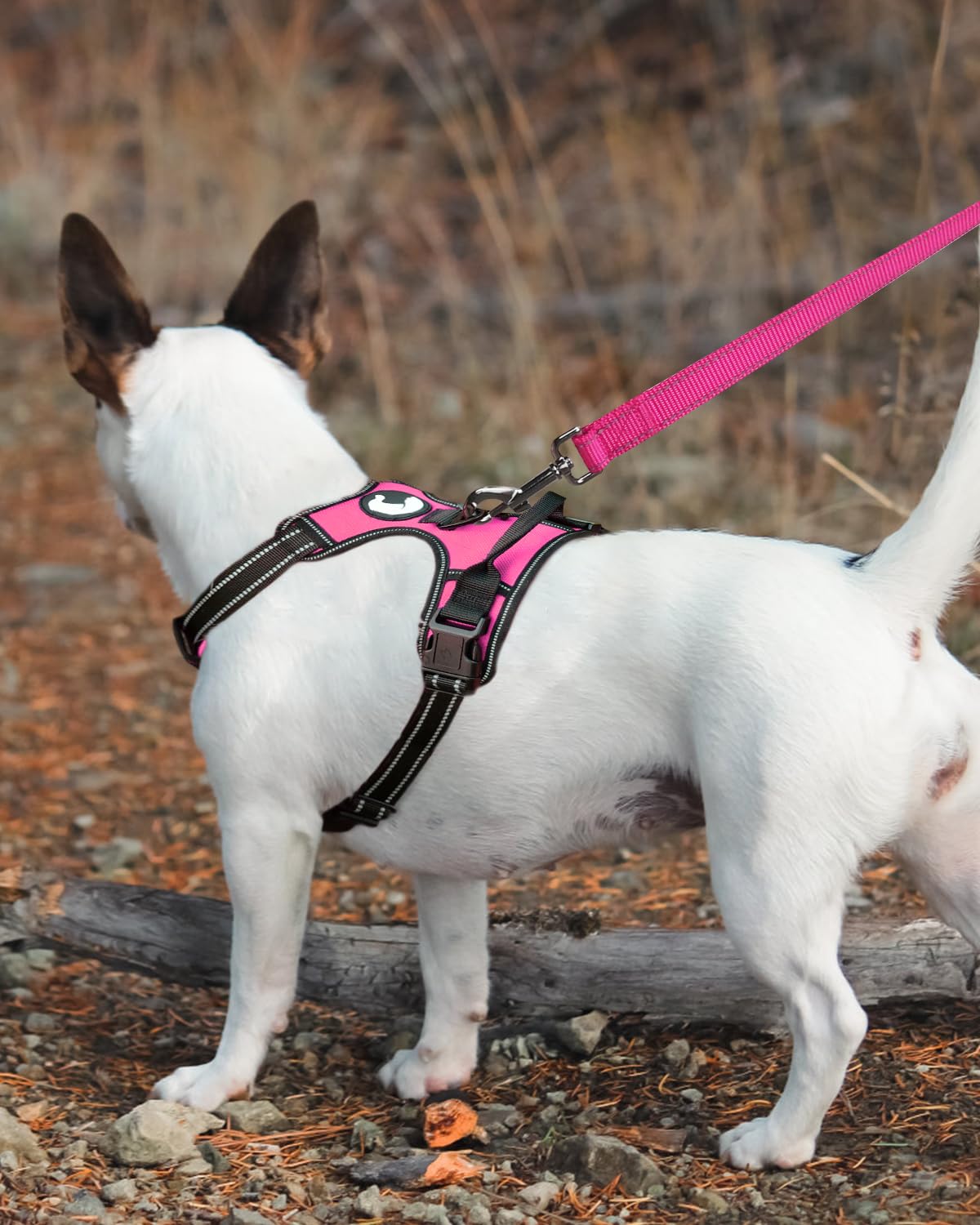 Foto 3 | Correa Para Perros Joytale De Nailon Reflectante De Doble Cara, 4 Pies - Venta Internacional.