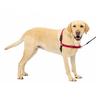 Foto 1 | Arnés Para Perros Petsafe Easy Walk Ewh-hc-l-red Para Perros Grandes - Venta Internacional.