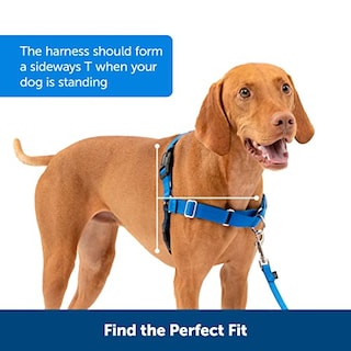 Foto 4 | Arnés Para Perros Petsafe Easy Walk Ewh-hc-l-red Para Perros Grandes - Venta Internacional.