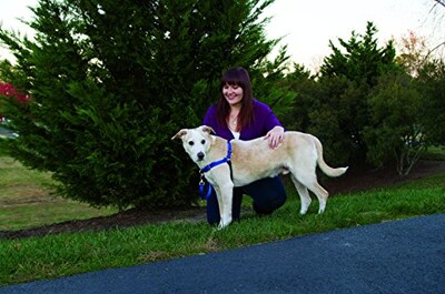 Foto 6 | Arnés Para Perros Petsafe Easy Walk Ewh-hc-l-red Para Perros Grandes - Venta Internacional.