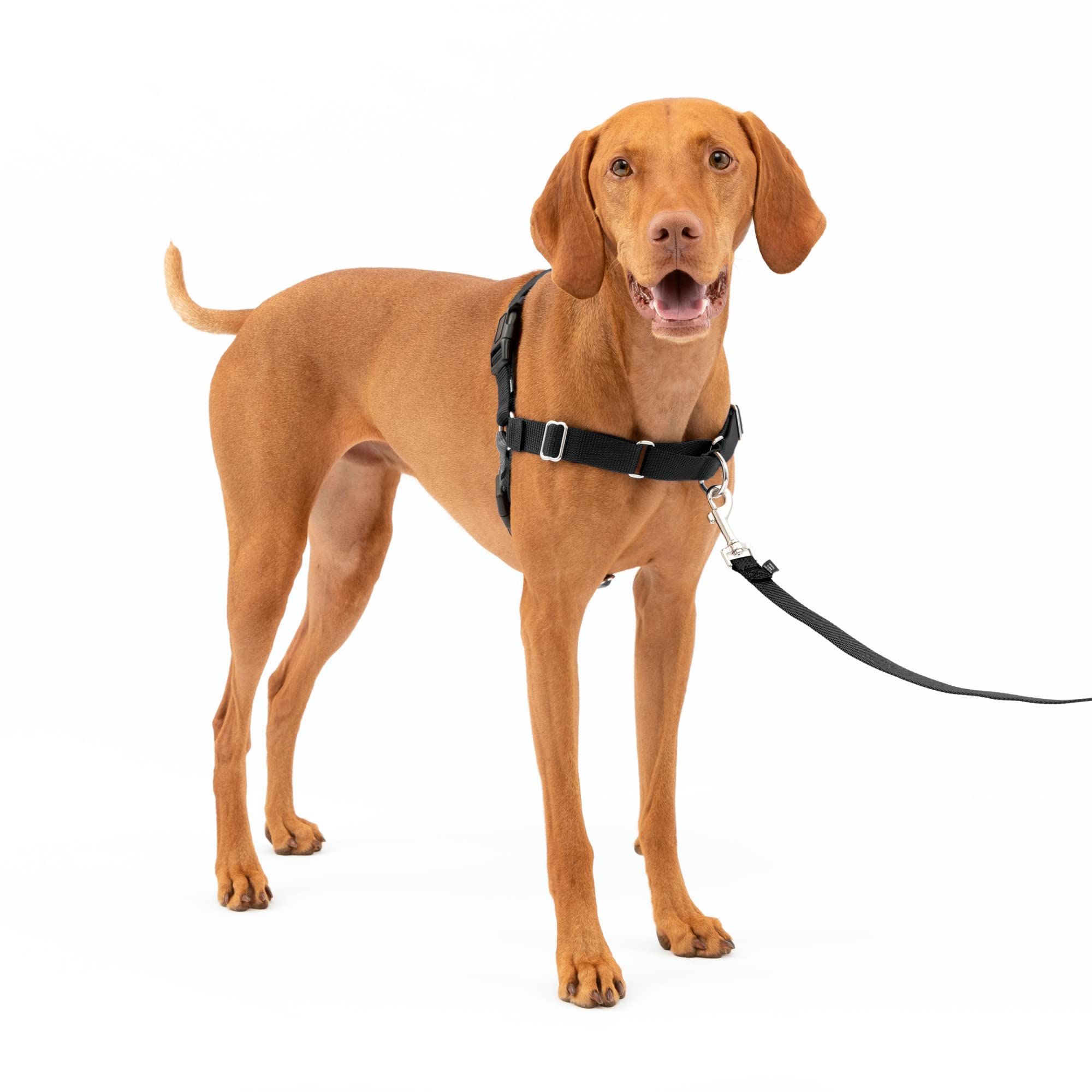 Arnés Para Perros Petsafe Easy Walk Stop, Tamaño Mediano - Venta Internacional.