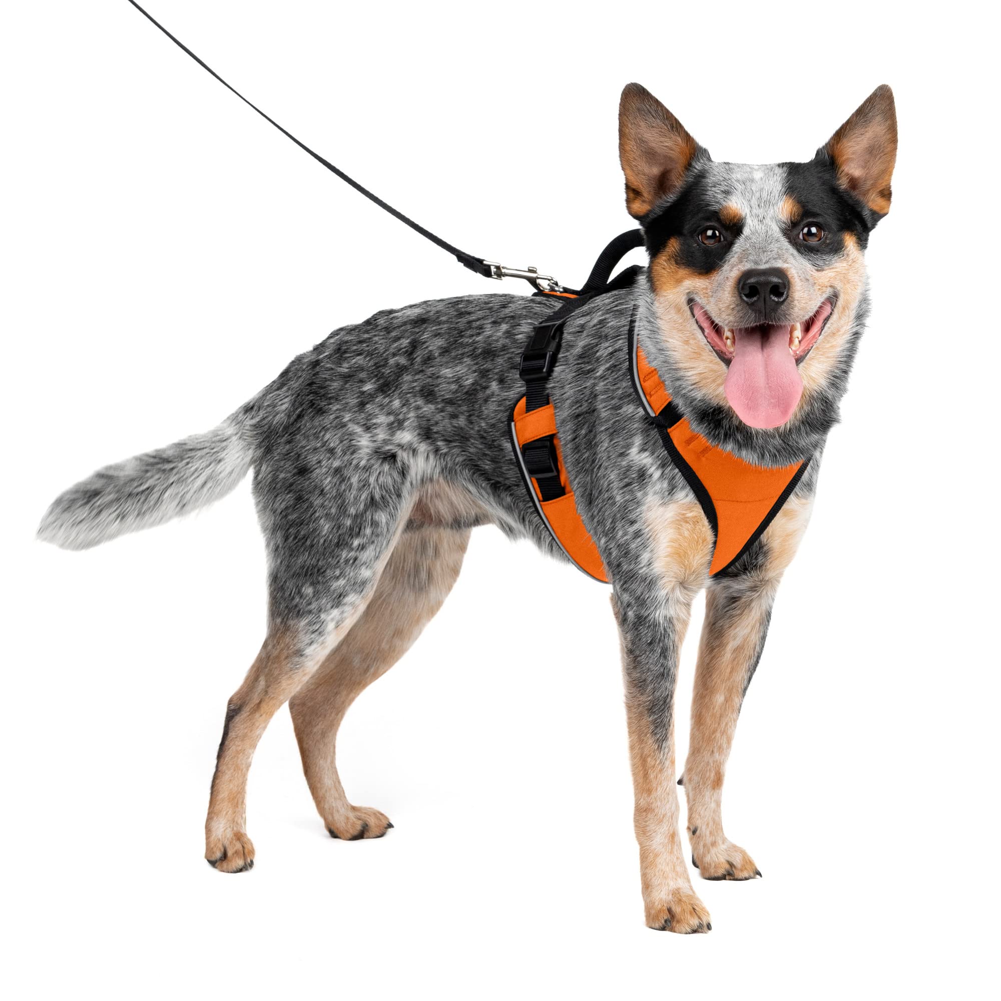 Arnés Para Perros Petsafe Easysport Ajustable Acolchado Naranja M - Venta Internacional.