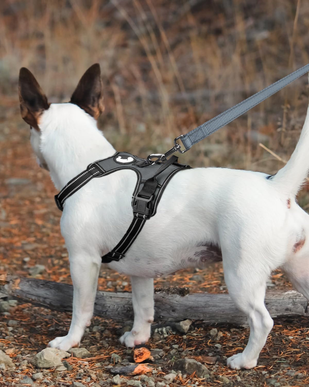 Foto 3 | Correa Para Perros Joytale De Nailon Reflectante De Doble Cara, 6 Pies - Venta Internacional.