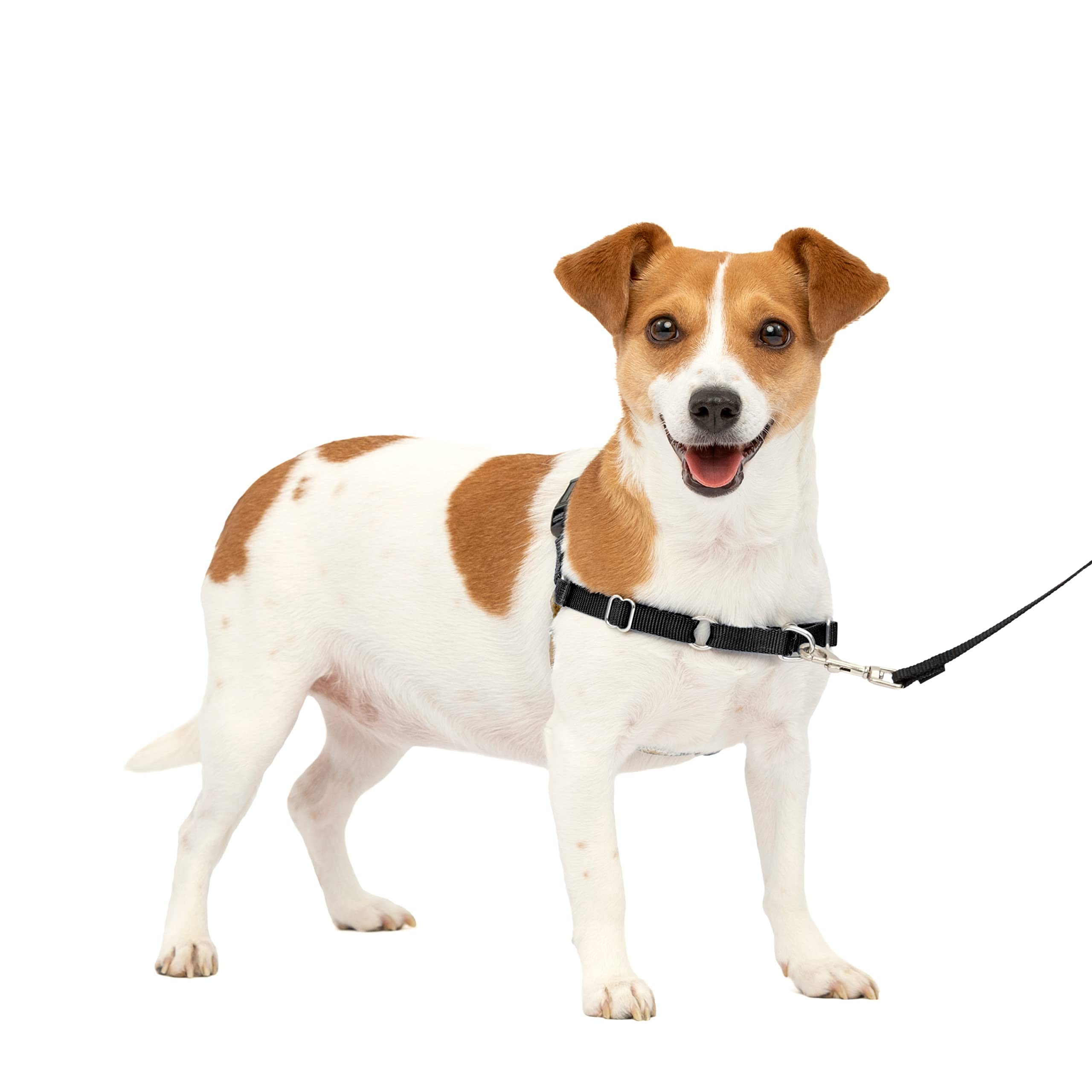 Arnés Para Perros Petsafe Easy Walk No-pull, Pequeño, Negro Y Plateado - Venta Internacional.