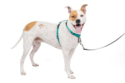 Foto 1 | Arnés Para Perros Petsafe 3 En 1, Sin Tirones, Reflectante, Para Perros Medianos - Venta Internacional.
