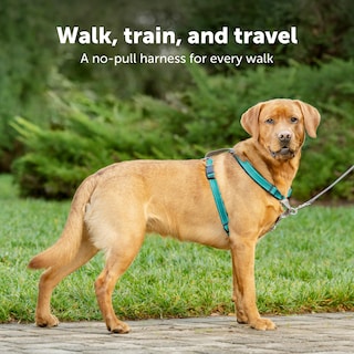 Foto 2 | Arnés Para Perros Petsafe 3 En 1, Sin Tirones, Reflectante, Para Perros Medianos - Venta Internacional.