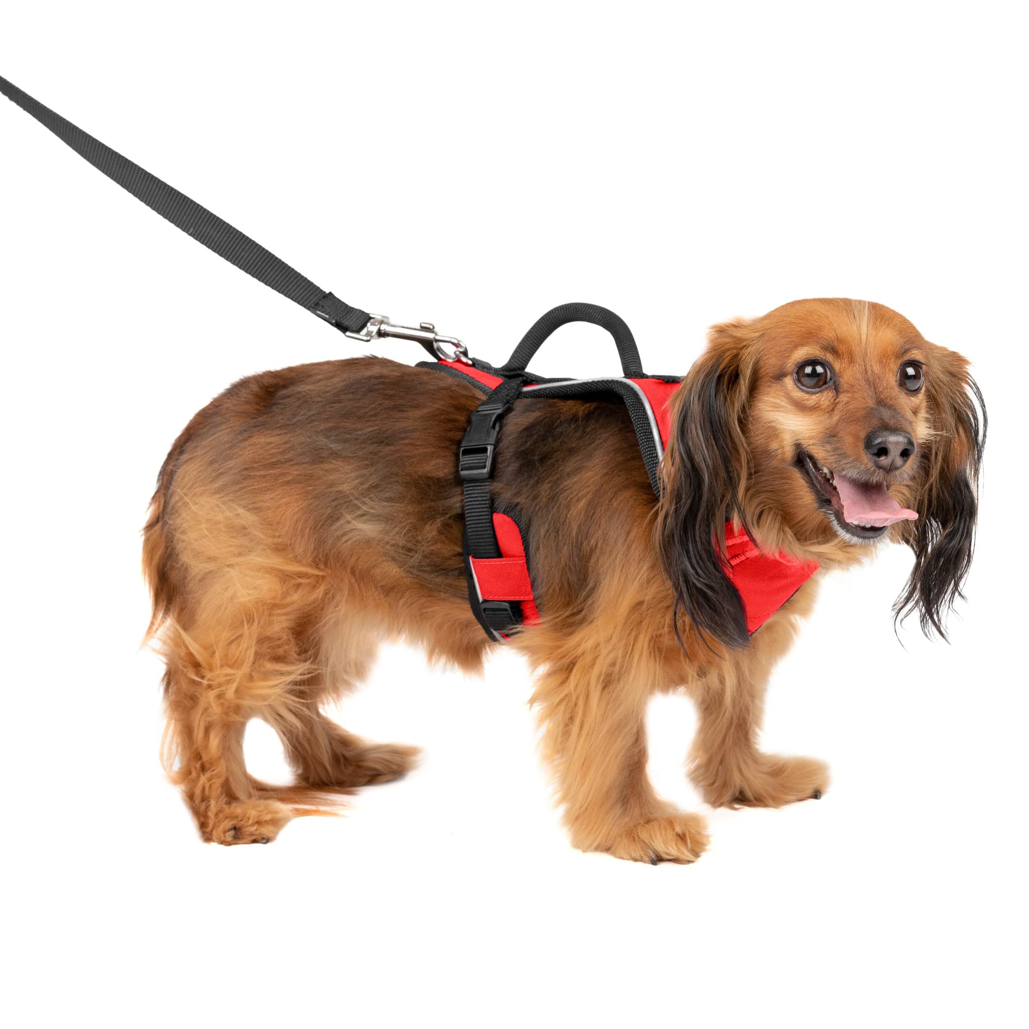 Arnés Para Perros Petsafe Easysport Rojo Extra Pequeño - Venta Internacional.