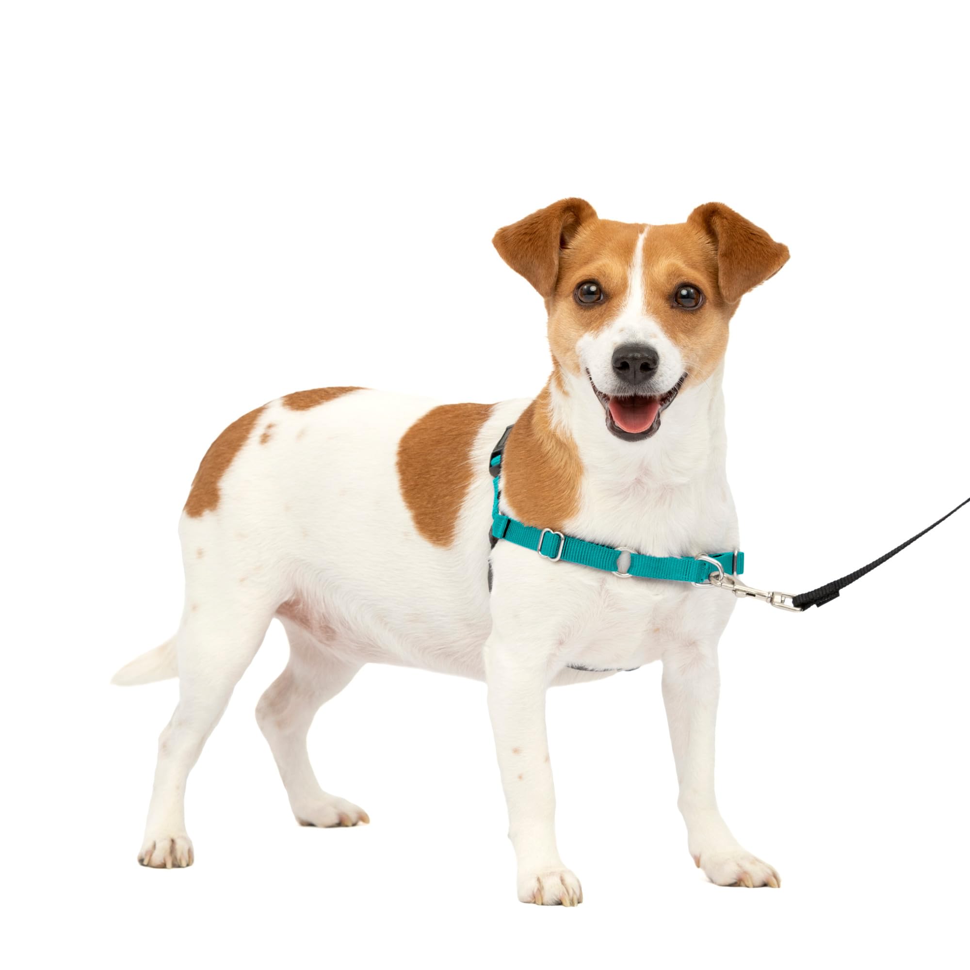 Arnés Para Perros Petsafe Easy Walk No Pull, Tamaño Pequeño, Color Verde Azulado Y Gris - Venta Internacional.