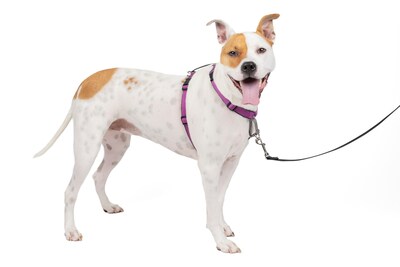 Foto 1 | Arnés Para Perros Petsafe 3 En 1, Sin Tirones, Reflectante, Color Ciruela, Tamaño Mediano - Venta Internacional.