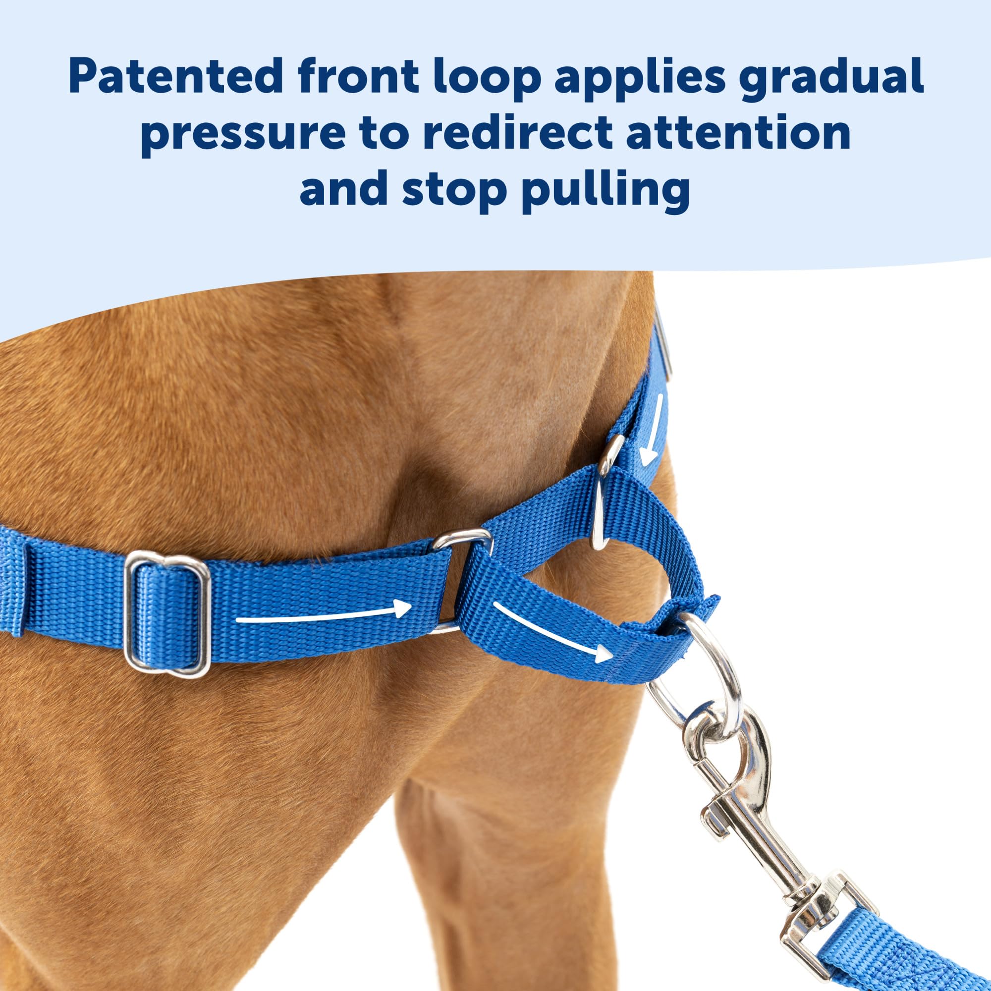 Foto 4 pulgar | Arnés Para Perros Petsafe Easy Walk No Pull, Azul Real/azul Marino - Venta Internacional.