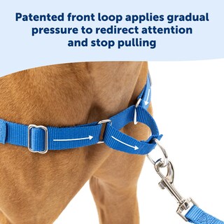 Foto 3 | Arnés Para Perros Petsafe Easy Walk No Pull, Azul Real/azul Marino - Venta Internacional.
