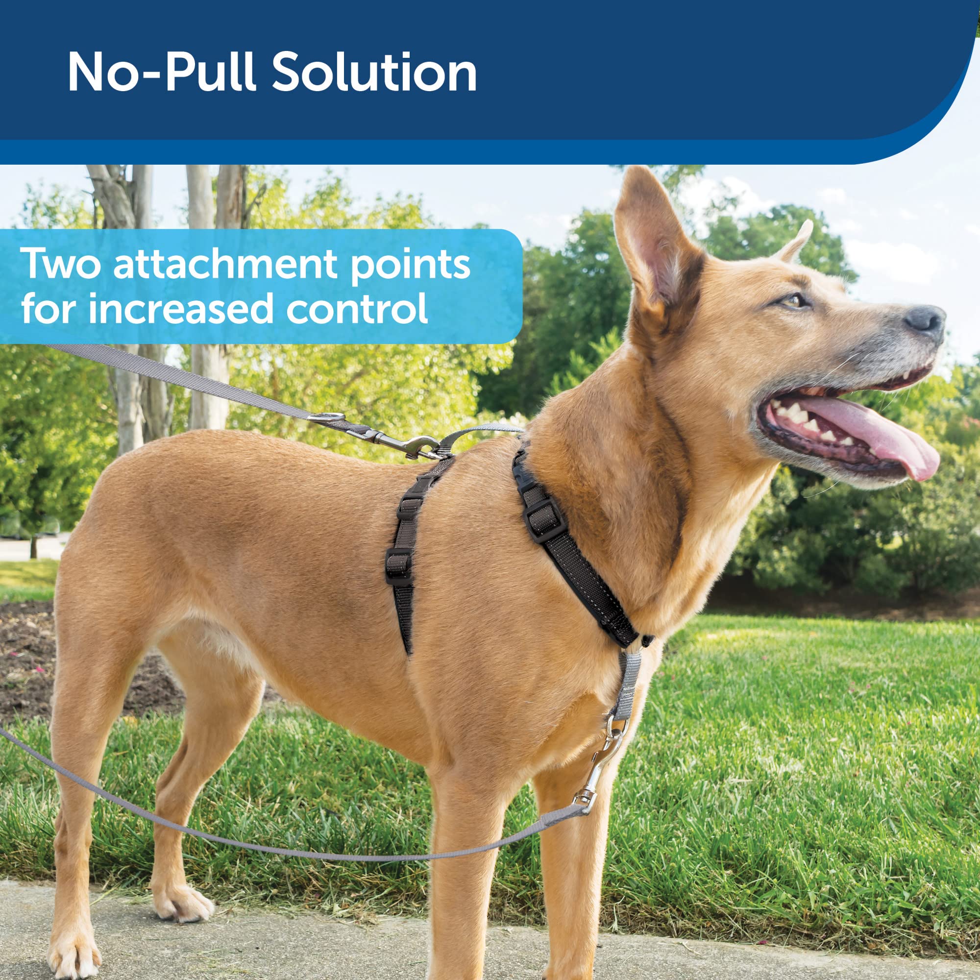 Foto 5 | Arnés Petsafe 3 En 1 Con Correa De Control De Dos Puntos, Tamaño Mediano - Venta Internacional.