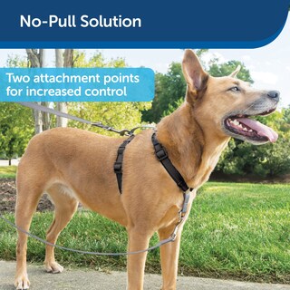 Foto 5 | Arnés Petsafe 3 En 1 Con Correa De Control De Dos Puntos, Tamaño Mediano - Venta Internacional.