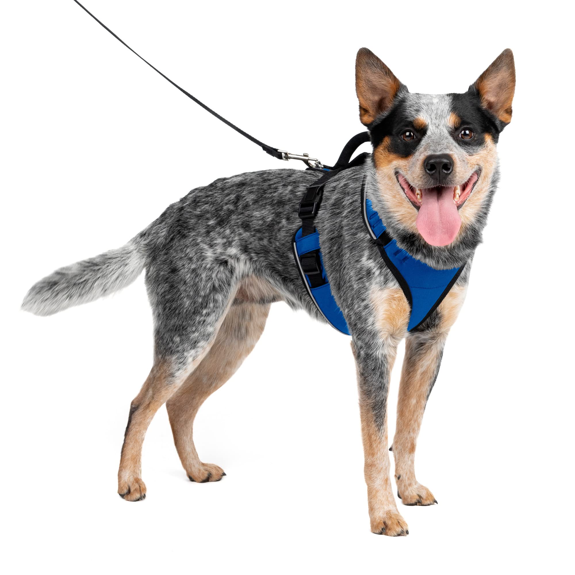 Foto 2 pulgar | Arnés Para Perros Petsafe Easysport, Ajustable, Acolchado, Azul Mediano - Venta Internacional.