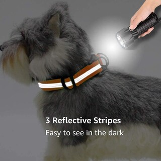 Foto 4 | Collar Para Perro Huoguo, Neopreno De Nailon Reflectante, Ajustable - Venta Internacional.