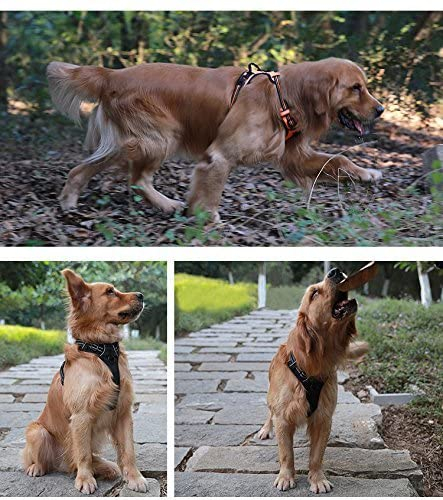 Foto 5 pulgar | Arnés Para Perros Jieyou, Suave En La Parte Delantera, Reflectante, Sin Tirones, Con Asa - Venta Internacional.