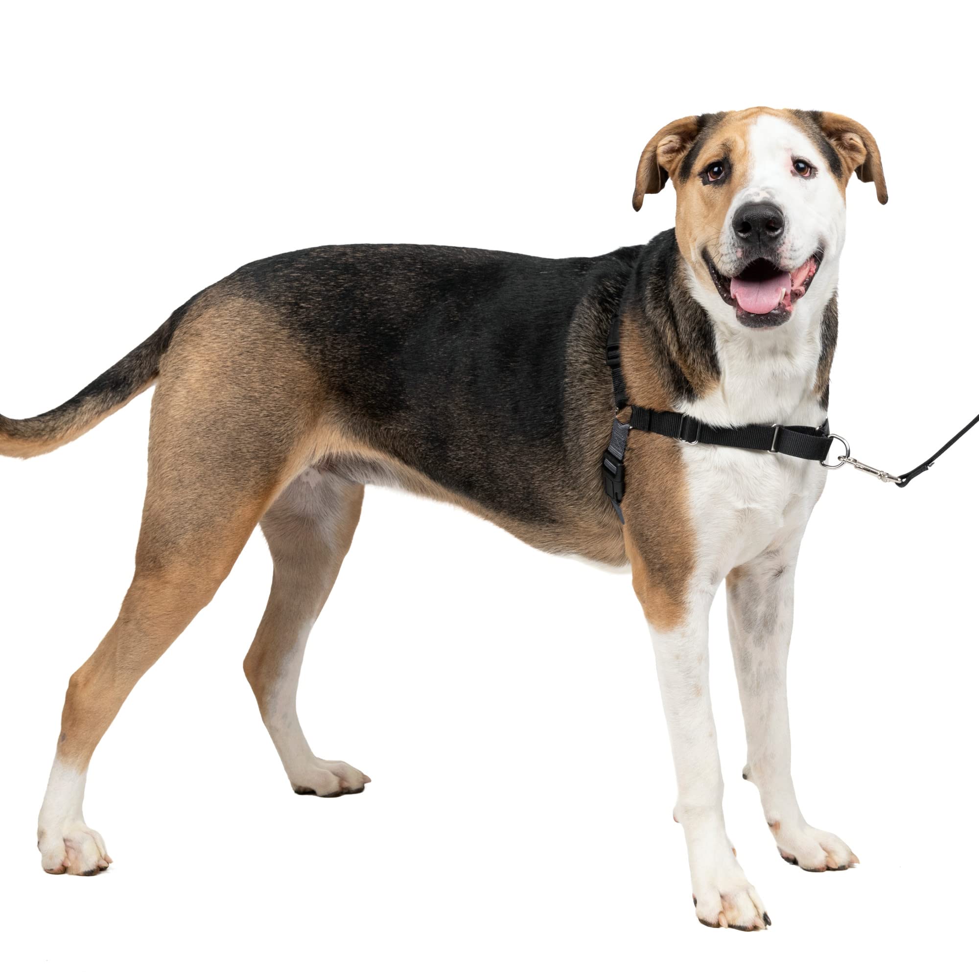Arnés Para Perros Petsafe Easy Walk, Sin Tirar, Extra Grande - Venta Internacional.