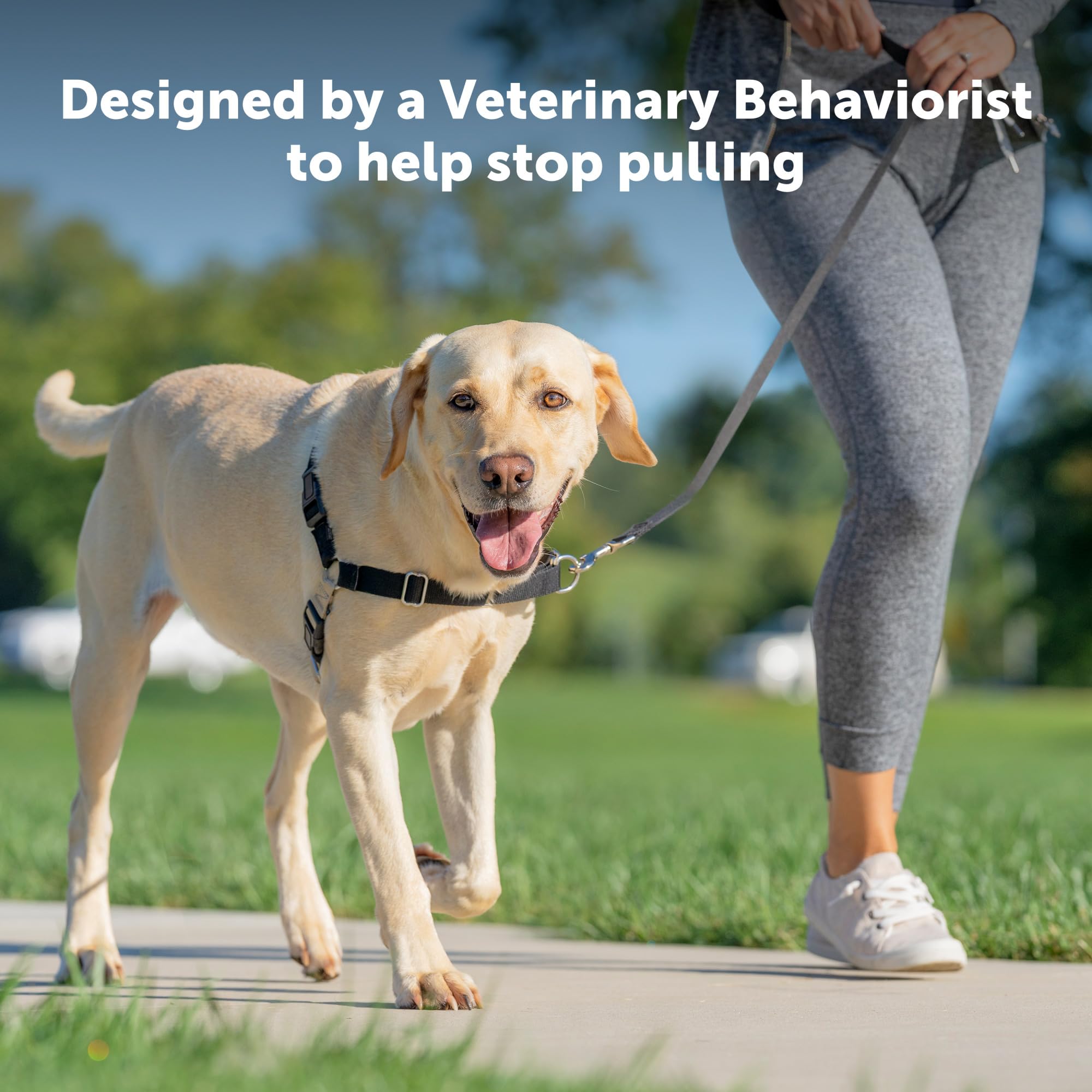 Foto 2 | Arnés Para Perros Petsafe Easy Walk, Sin Tirar, Extra Grande - Venta Internacional.