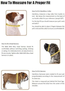 Foto 2 | Arnés Para Perros Hamilton Adjustable Comfort, Nailon, Color Verde Lima - Venta Internacional.