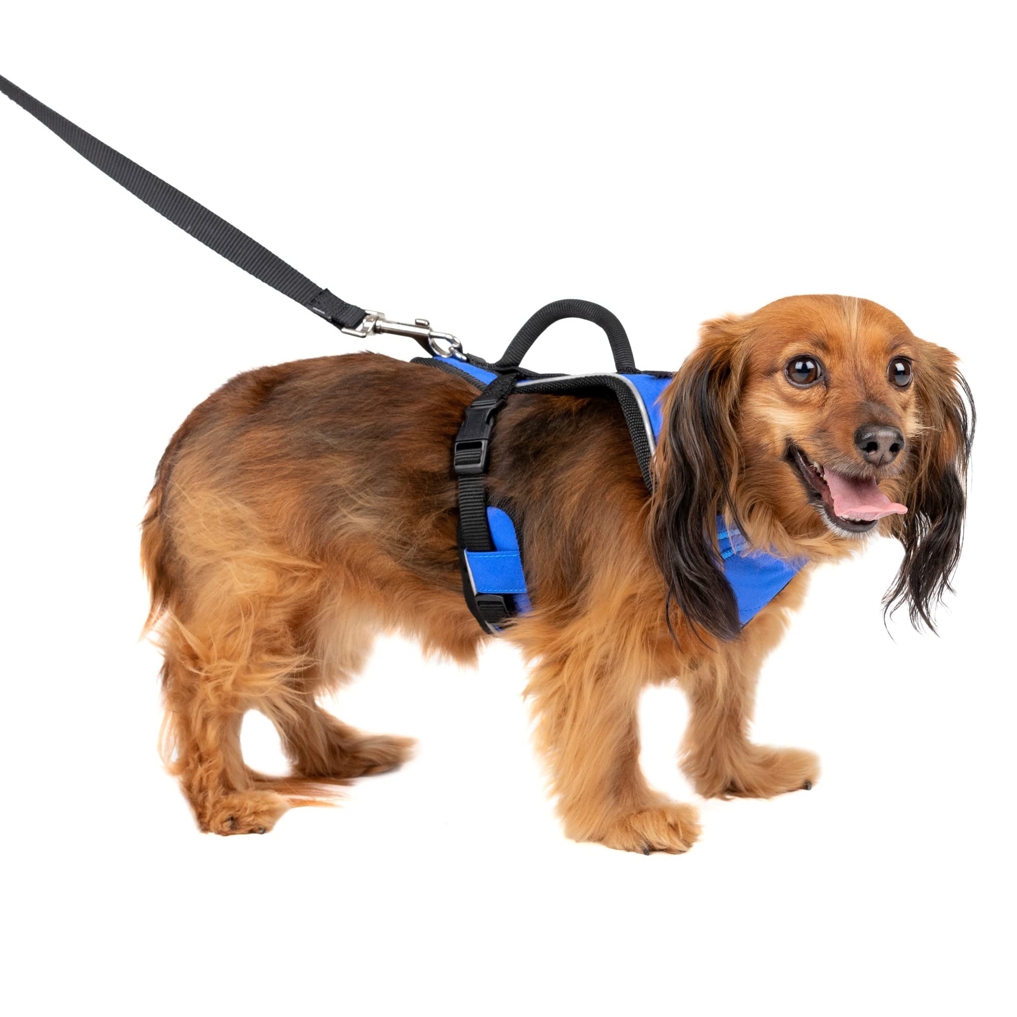 Arnés Para Perros Petsafe Easysport Ajustable Acolchado Azul Xs - Venta Internacional.