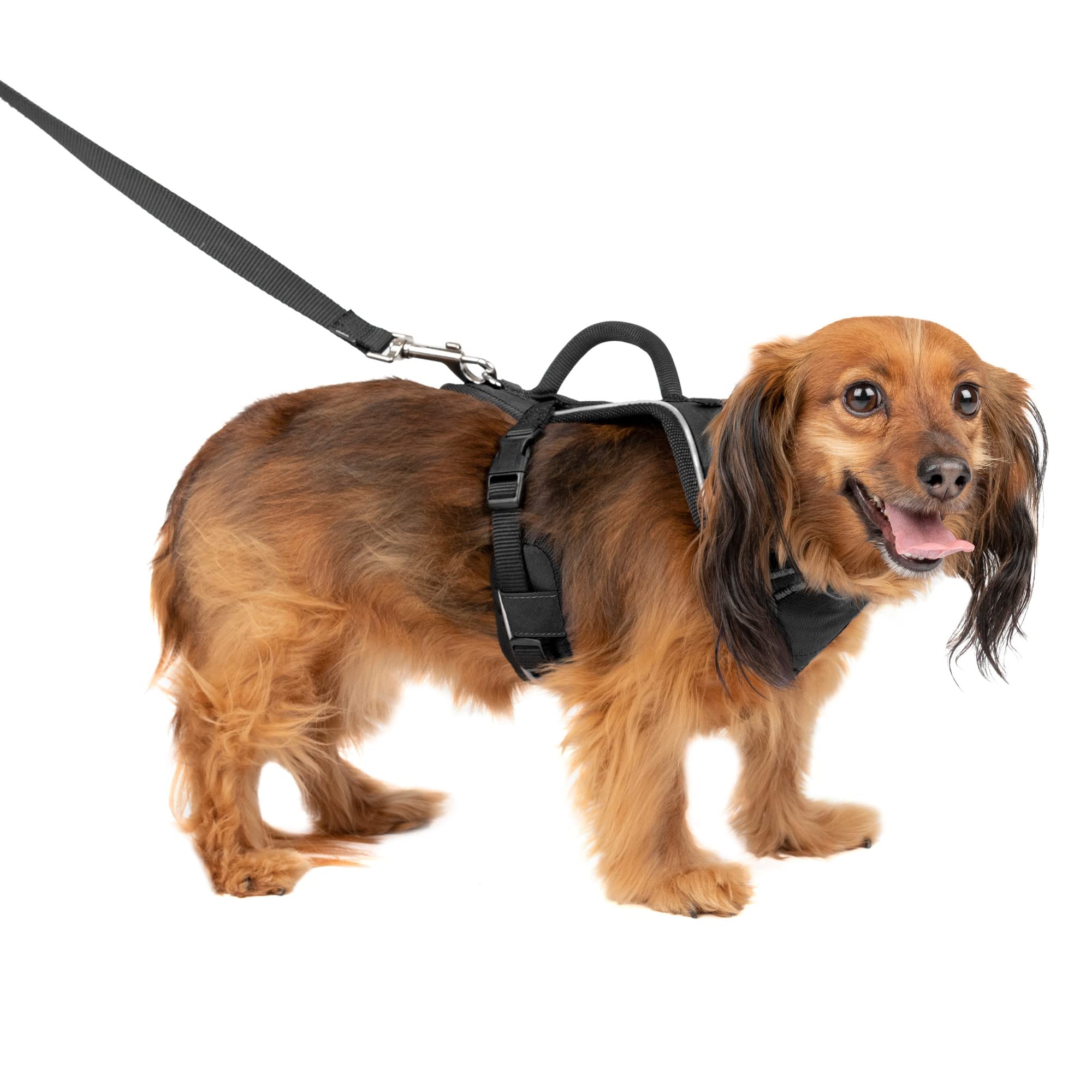 Arnés Para Perros Petsafe Easysport Ajustable Con Mango De Control - Venta Internacional.