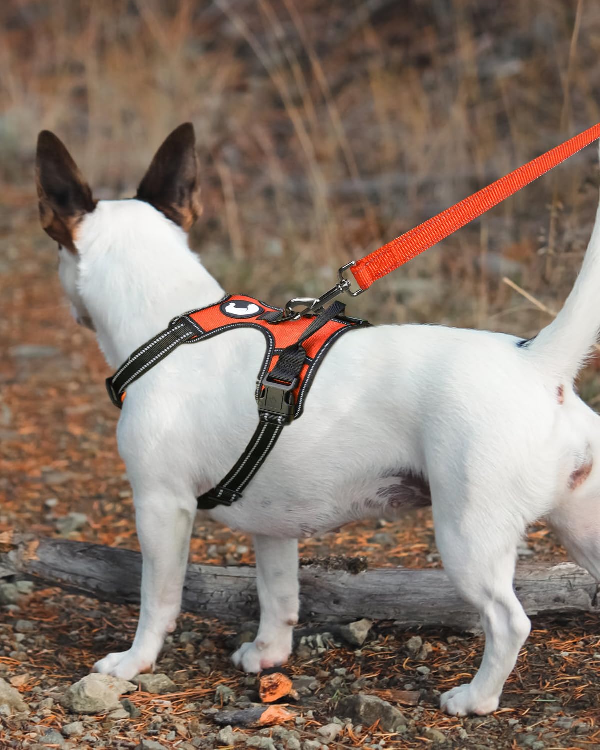 Foto 3 | Correa Para Perros Joytale De Nailon Reflectante De Doble Cara, 4 Pies - Venta Internacional.