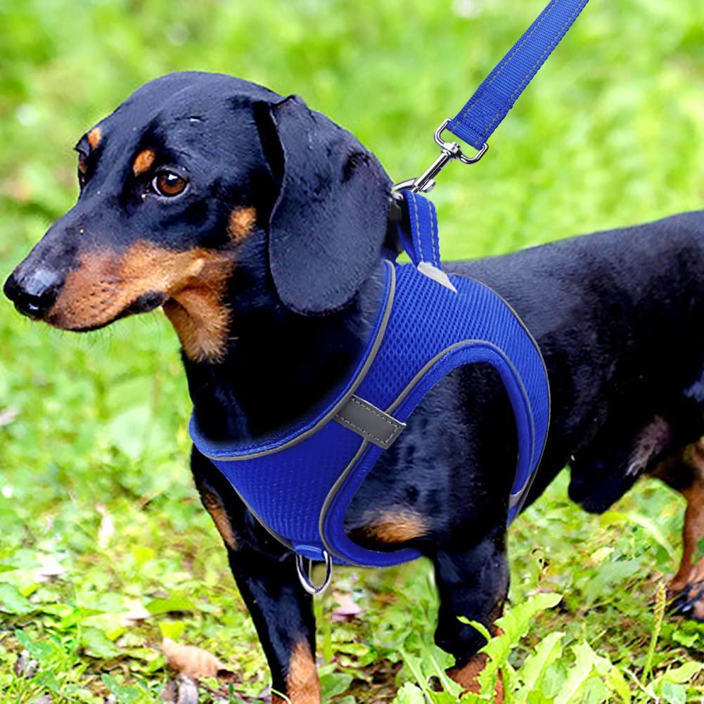 Foto 3 pulgar | Arnés Para Perros Joytale Step-in, Chaleco De Malla Transpirable - Venta Internacional.