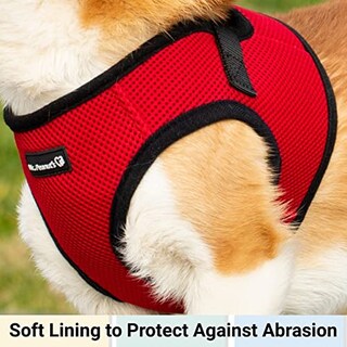 Foto 3 | Mr. Peanut's Puptrek Small Dog/cat Soft Mesh Step En Harne - Venta Internacional.