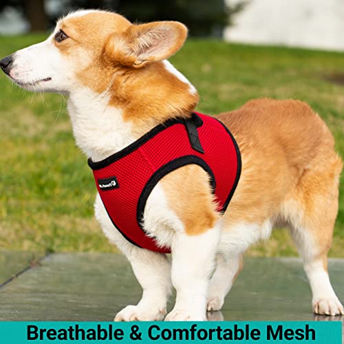 Foto 6 pulgar | Mr. Peanut's Puptrek Small Dog/cat Soft Mesh Step En Harne - Venta Internacional.