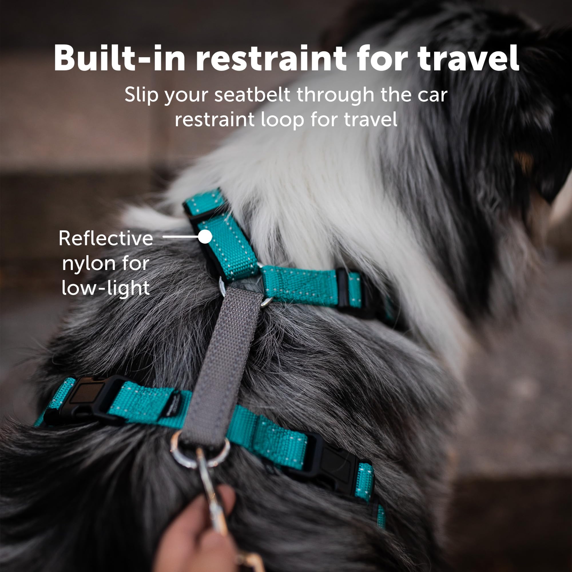 Foto 4 pulgar | Arnés Para Perros Petsafe 3 En 1, Sin Tirones, Reflectante, Color Ciruela, Tamaño Grande - Venta Internacional.