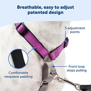 Foto 4 | Arnés Para Perros Petsafe 3 En 1, Sin Tirones, Reflectante, Color Ciruela, Tamaño Grande - Venta Internacional.