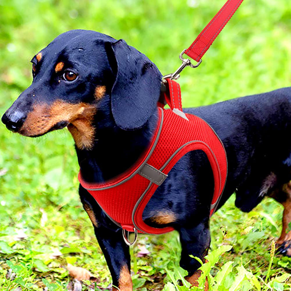 Foto 3 pulgar | Chaleco De Malla Transpirable Joytale Step-in Dog Harness - Venta Internacional.