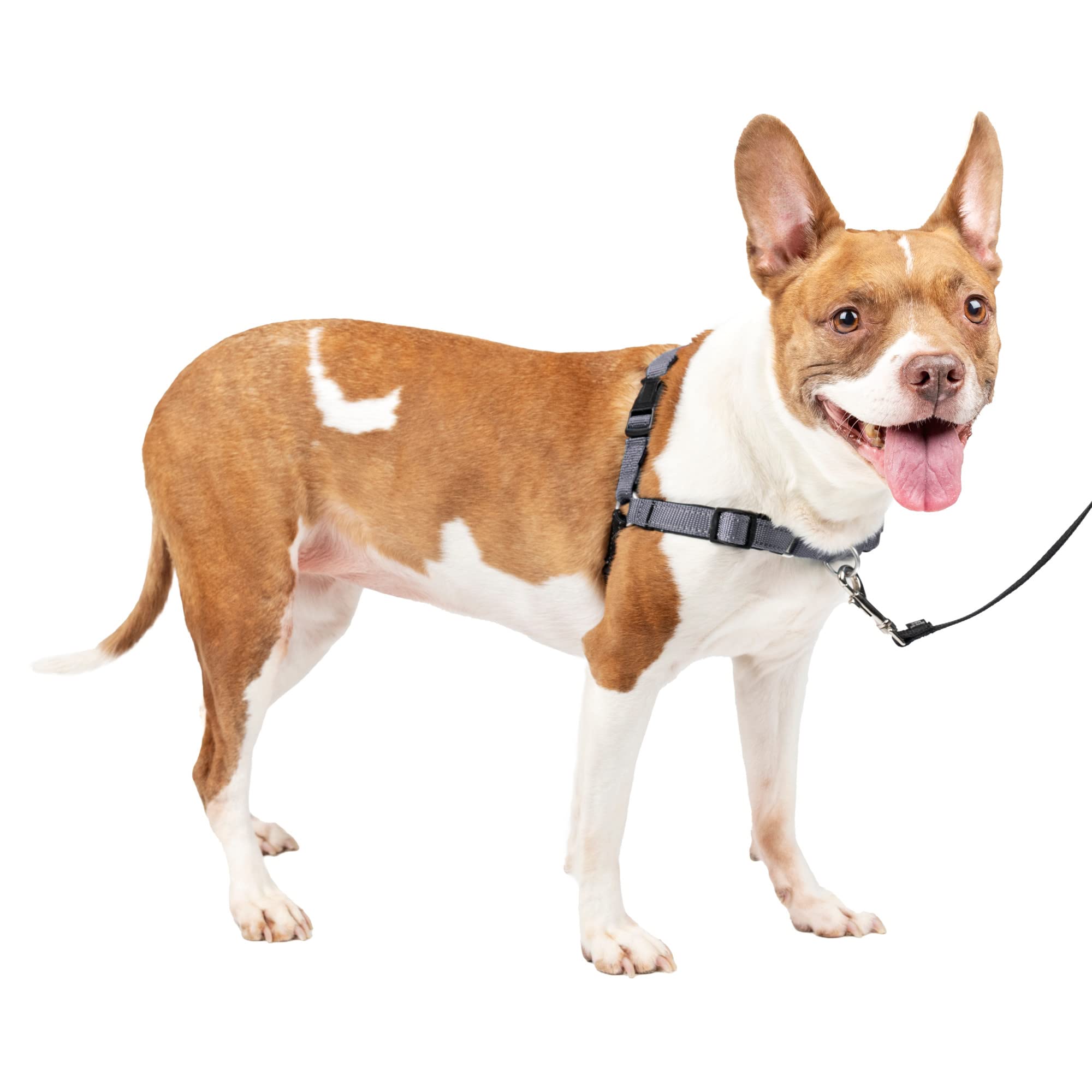 Arnés Para Perros Petsafe Easy Walk Deluxe Sin Tracción, Acero Gris M - Venta Internacional.