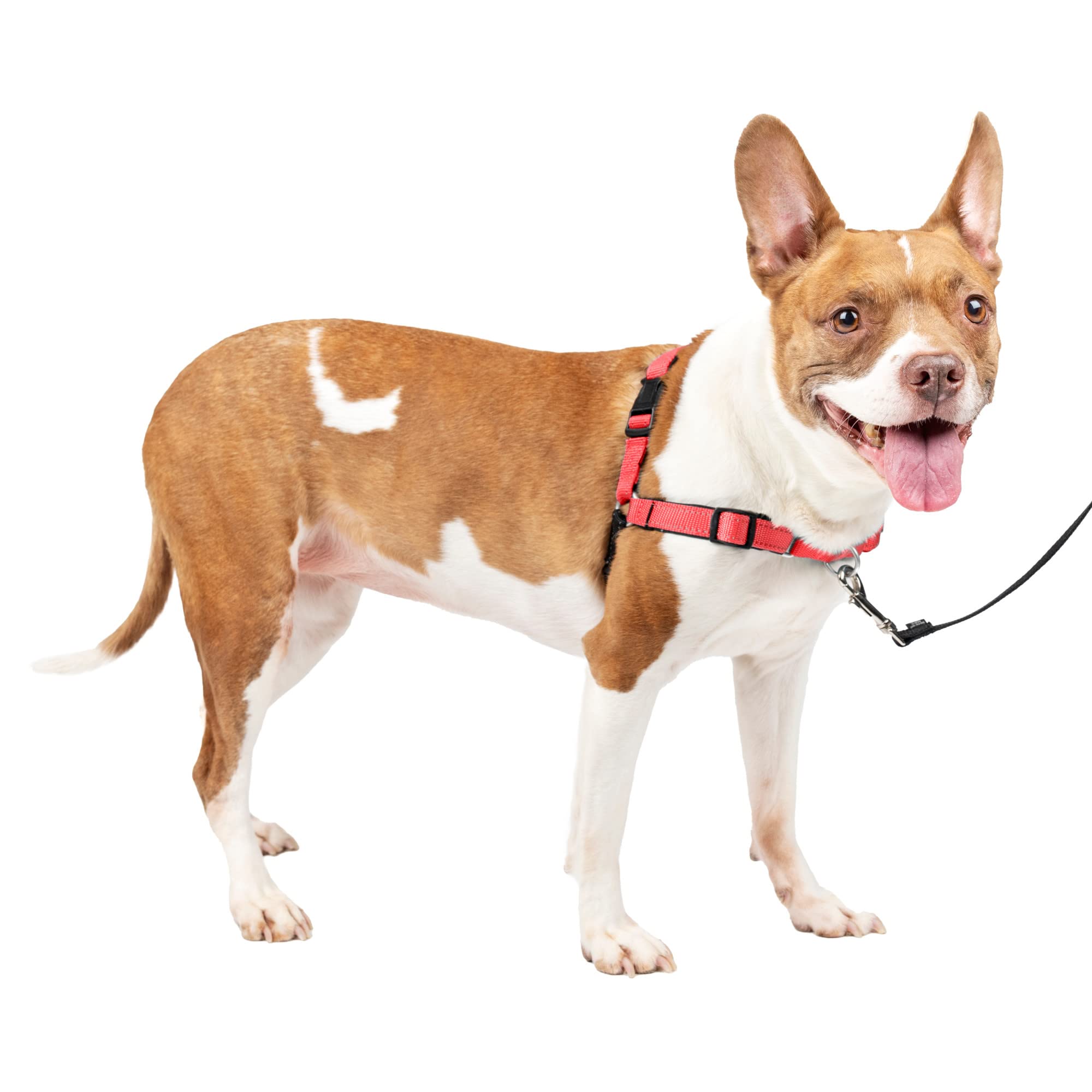 Arnés Para Perros Petsafe  Deluxe Easy Walk  No Pull Medium Rose - Venta Internacional.