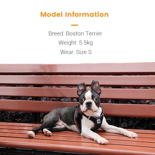 Foto 4 | Arnés Para Perros Sanlin Beans Reflectante, Sin Tirones, Para Perros Pequeños Y Medianos - Venta Internacional.