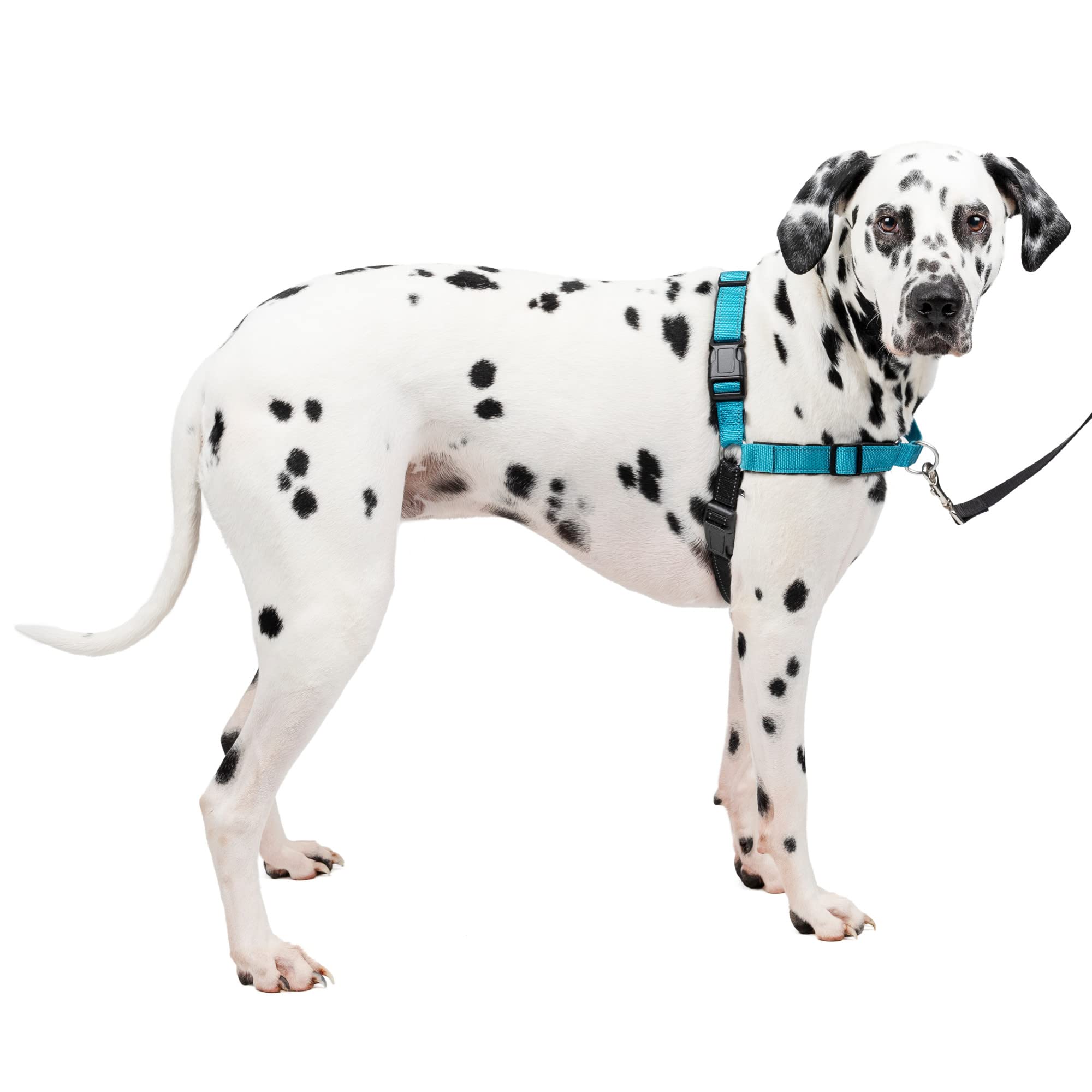 Arnés Para Perros Petsafe Easy Walk Deluxe Sin Tirar, Grande, Ocean/bla - Venta Internacional.