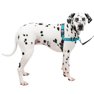 Foto 1 | Arnés Para Perros Petsafe Easy Walk Deluxe Sin Tirar, Grande, Ocean/bla - Venta Internacional.
