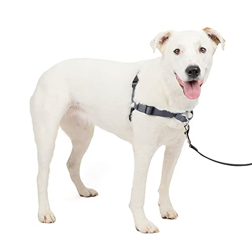 Foto 7 | Arnés Para Perros Petsafe Easy Walk Deluxe Sin Tracción, Acero Gris M/l - Venta Internacional.