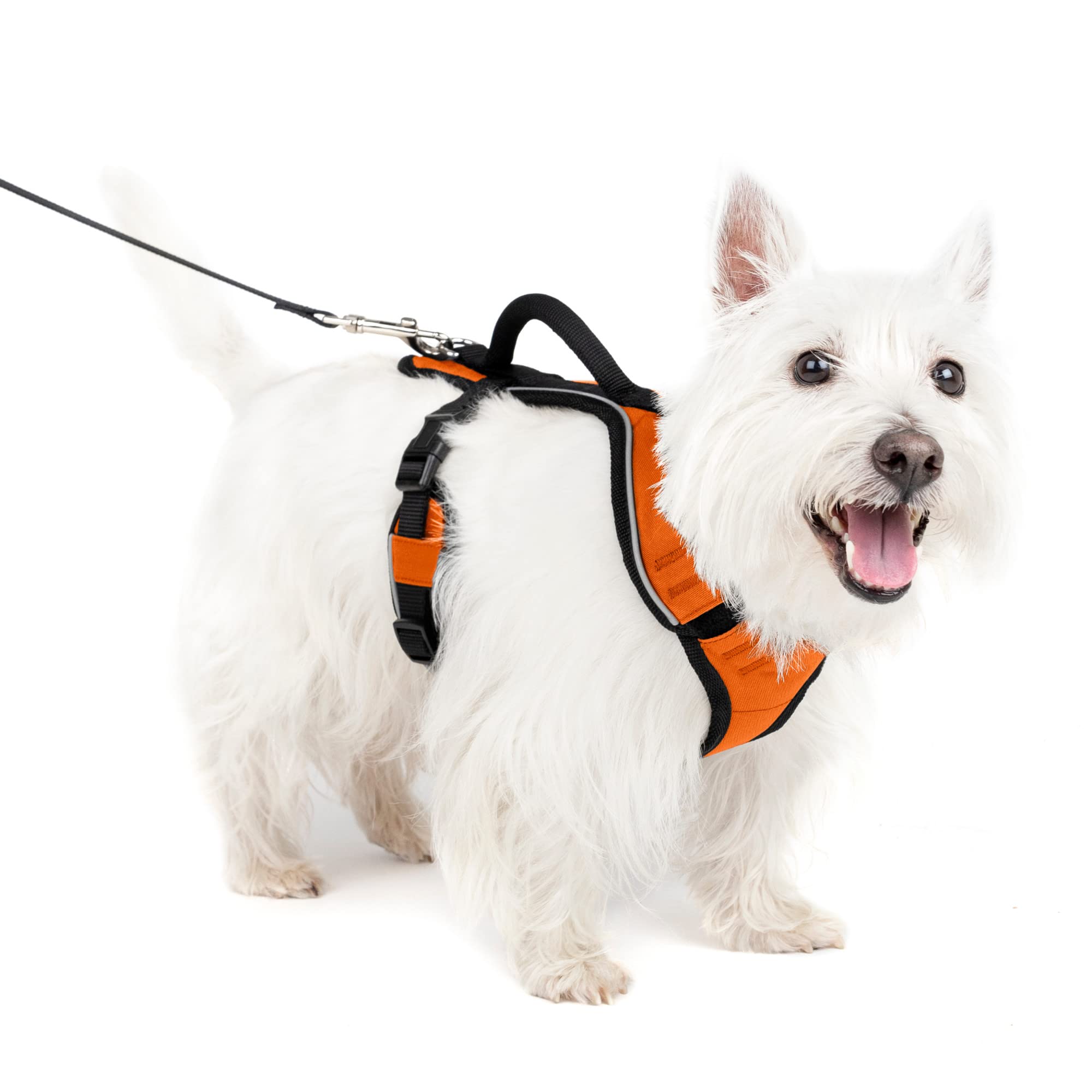 Arnés Para Perros Petsafe Easysport Naranja Ajustable Pequeño - Venta Internacional.