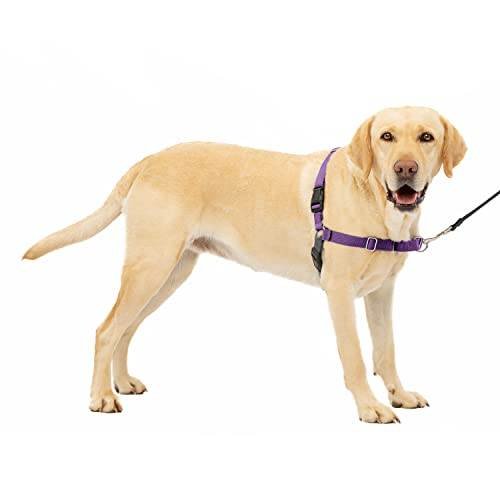 Foto 2 pulgar | Arnés Petsafe Easy Walk No Pull, Color Morado Oscuro Y Negro, L - Venta Internacional.