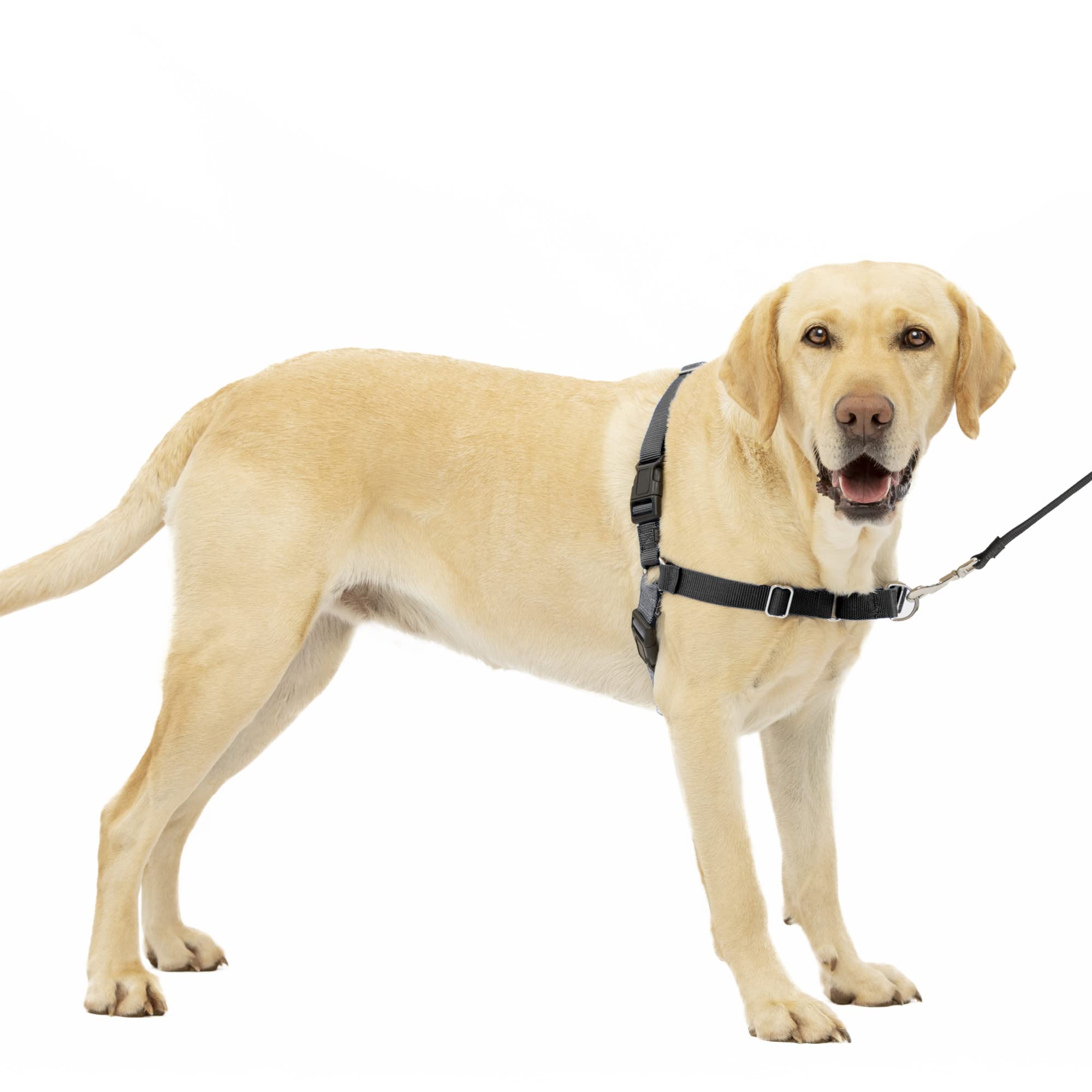 Arnés Para Perros Petsafe Easy Walk, Sin Tirar, Grande, Color Carbón/negro - Venta Internacional.