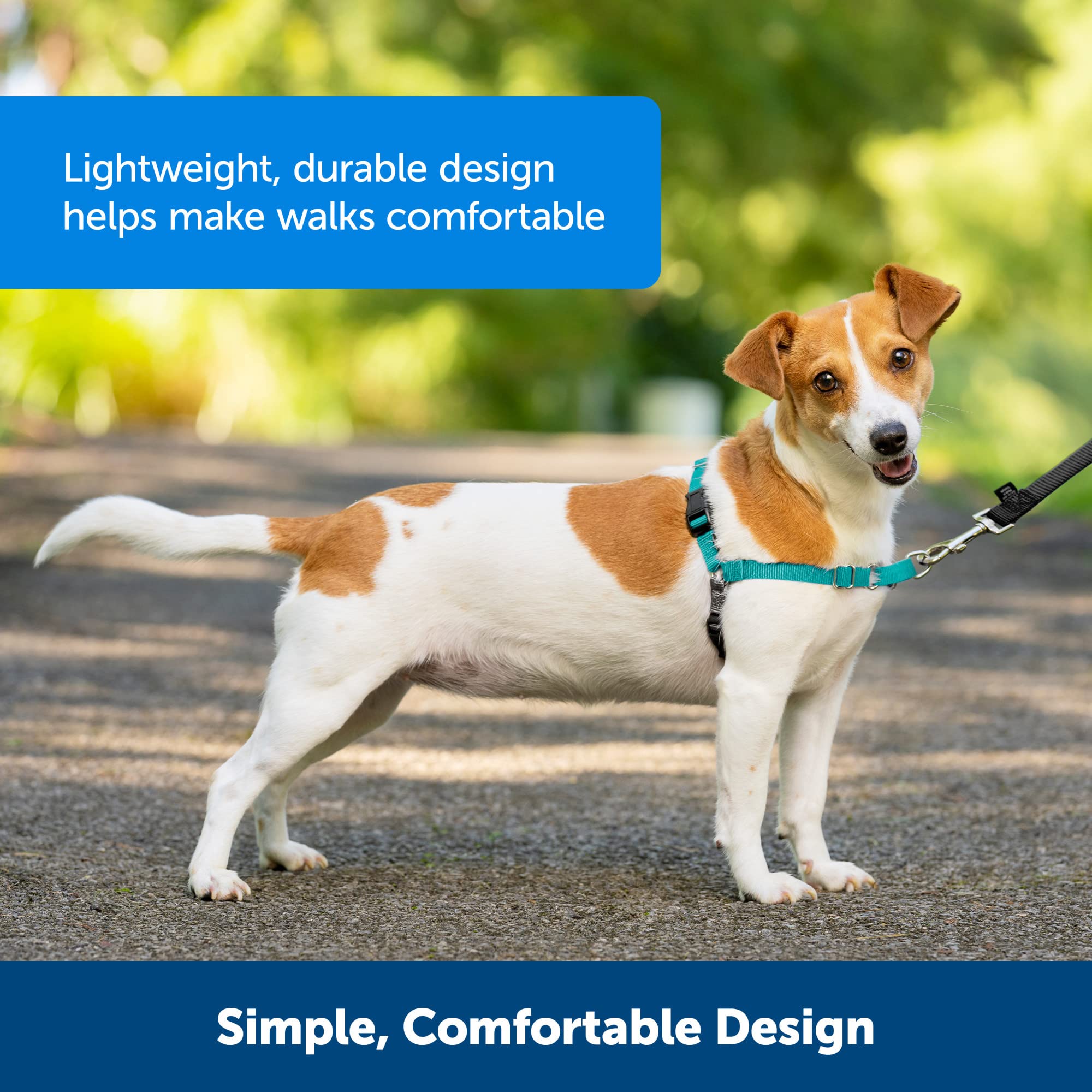 Foto 4 | Arnés Para Perros Petsafe Easy Walk, Sin Tirar, Grande, Color Carbón/negro - Venta Internacional.