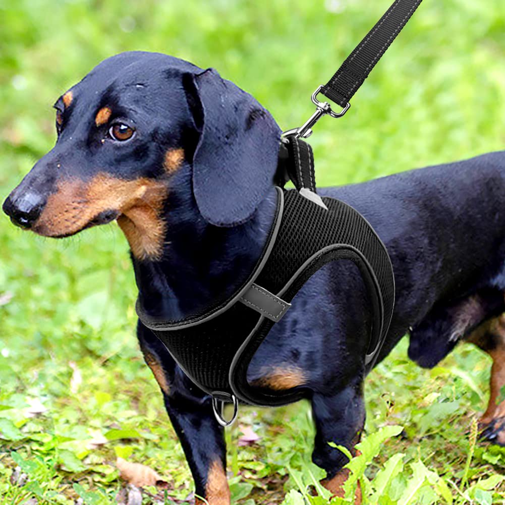 Foto 3 pulgar | Chaleco De Malla Transpirable Joytale Step-in Dog Harness - Venta Internacional.