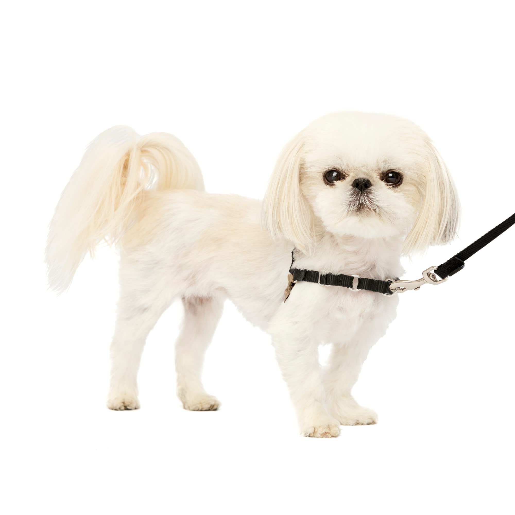 Arnés Para Perros Petsafe Easy Walk No-pull Ultimate Control - Venta Internacional.