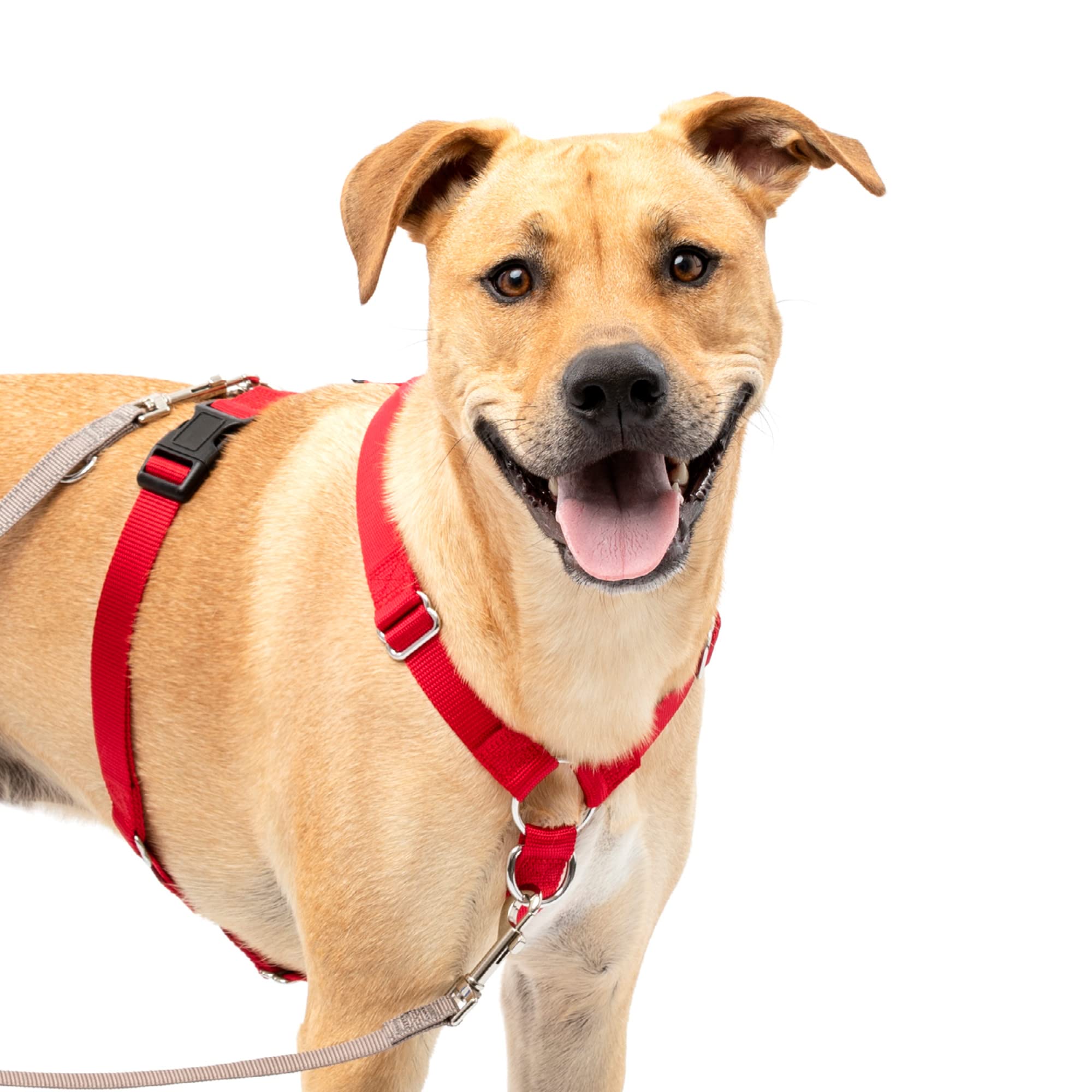 Arnés Para Perros Petsafe Sure-fit Training Aid Tactical Red L - Venta Internacional.
