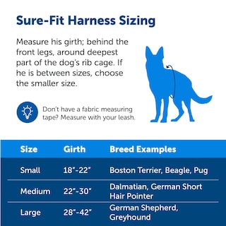 Foto 5 | Arnés Para Perros Petsafe Sure-fit Training Aid Tactical Red L - Venta Internacional.